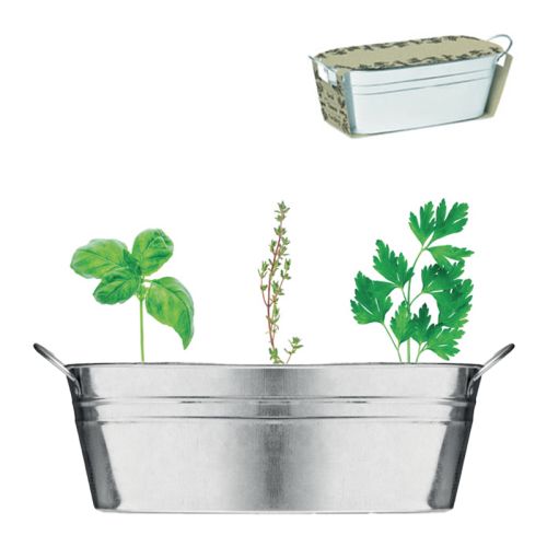 Planter zinc with herbs - Image 5